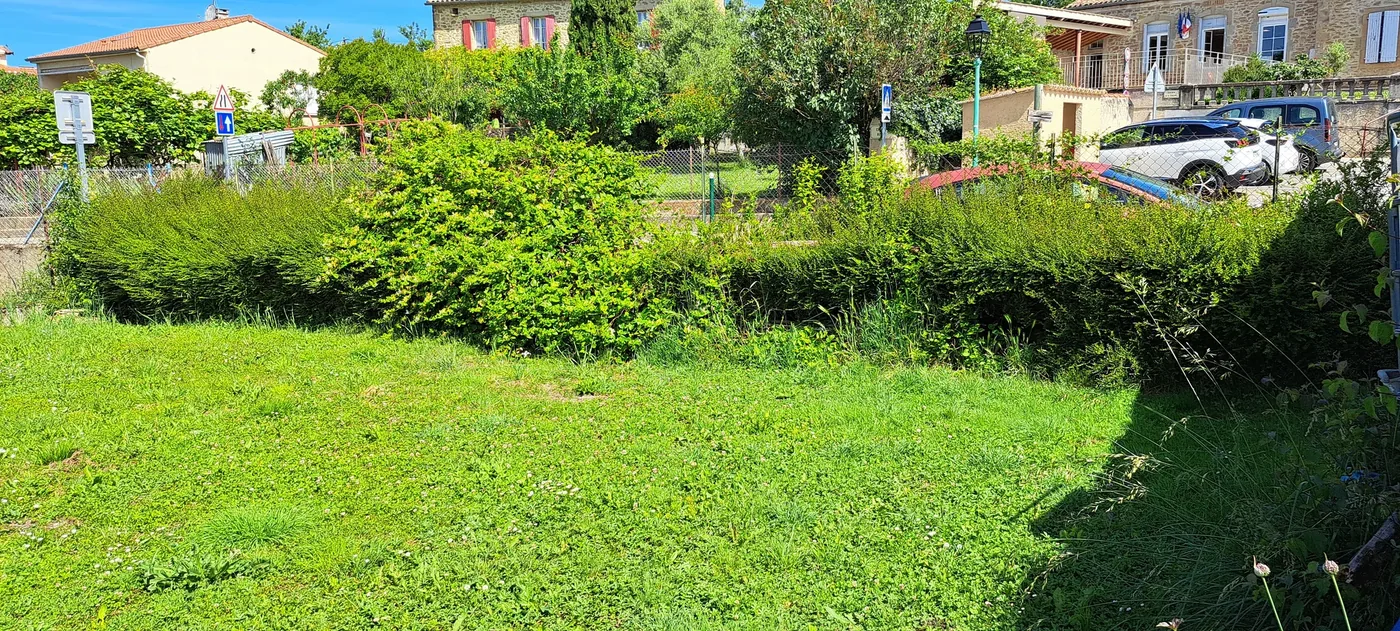 Haie dégarnie et débordante avant la taille