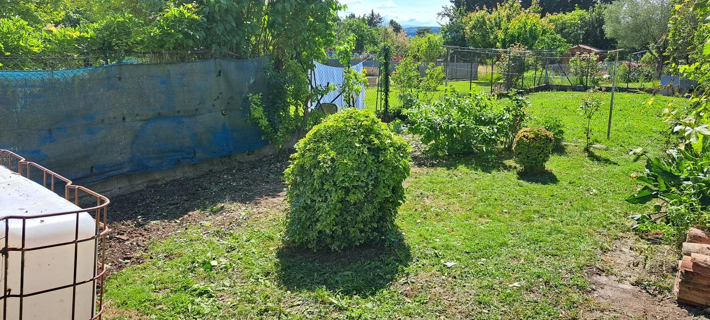 Le même jardin désencombré, taillé et tondu après le passage d'Olivier Services