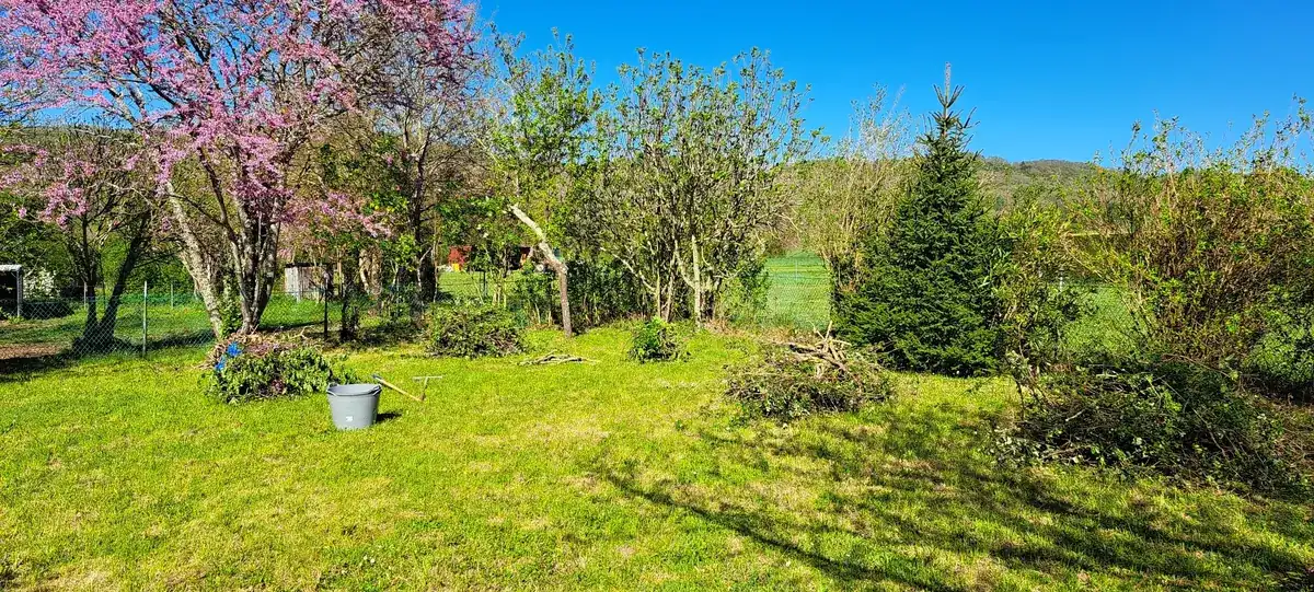 Terrain tondu au printemps après une intervention d'entretien